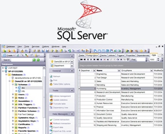 ANGLER Technologies - Microsoft SQL Server Web Developers India | Hire MS SQL Server Developers, Programmers & Coders UK | MS SQL Server Development Company