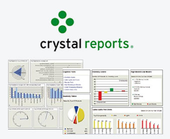 Crystal Reports Software Development