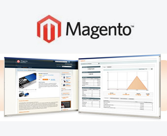 Magento ecommerce development