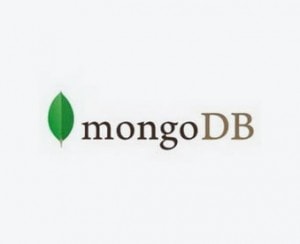 MongoDB web development