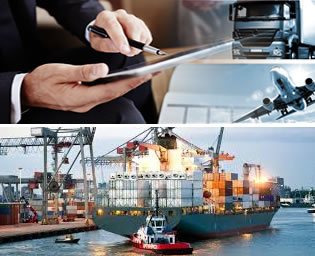 Custom ERP Solution for Logistics