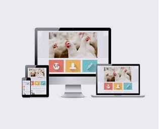 Poultry Website Revamp