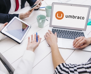 Umbraco cms