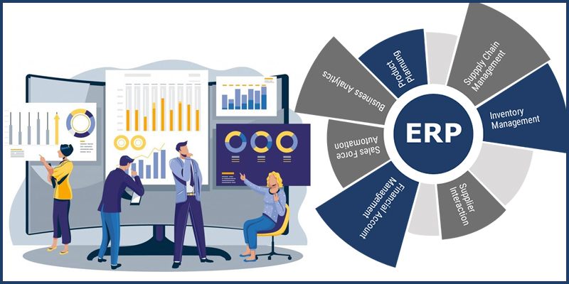 Custom ERP System 